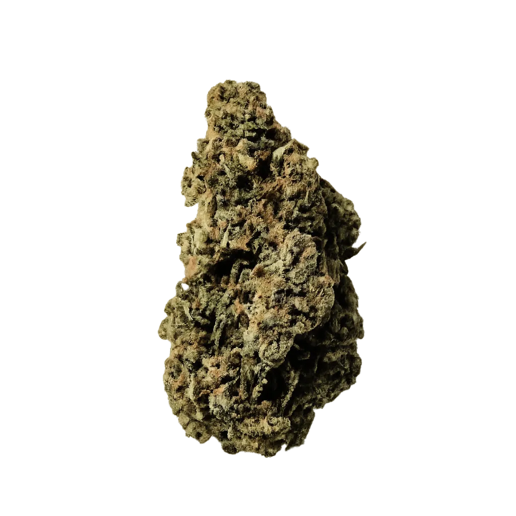 22/1 Amici FTY Fruity Pebbles