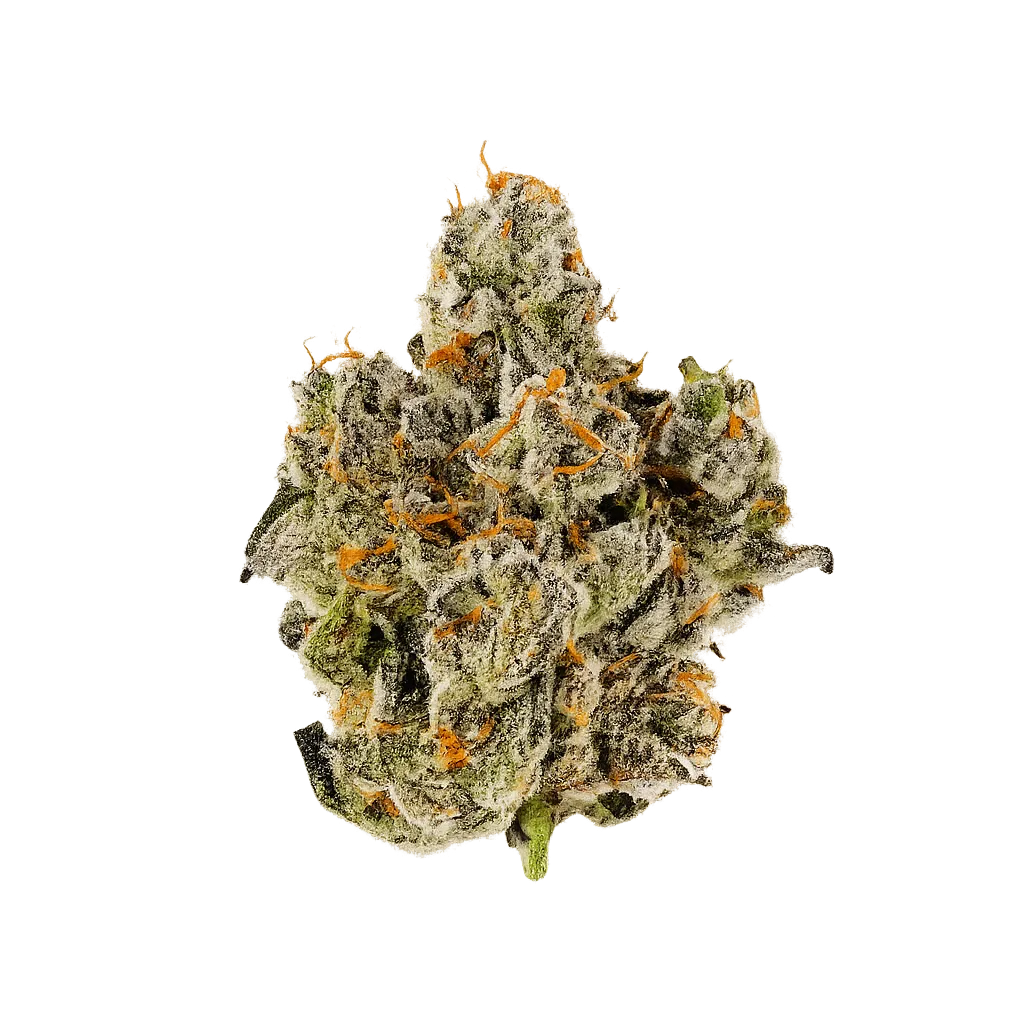 30/1 IUVO OC Platinum Oranges