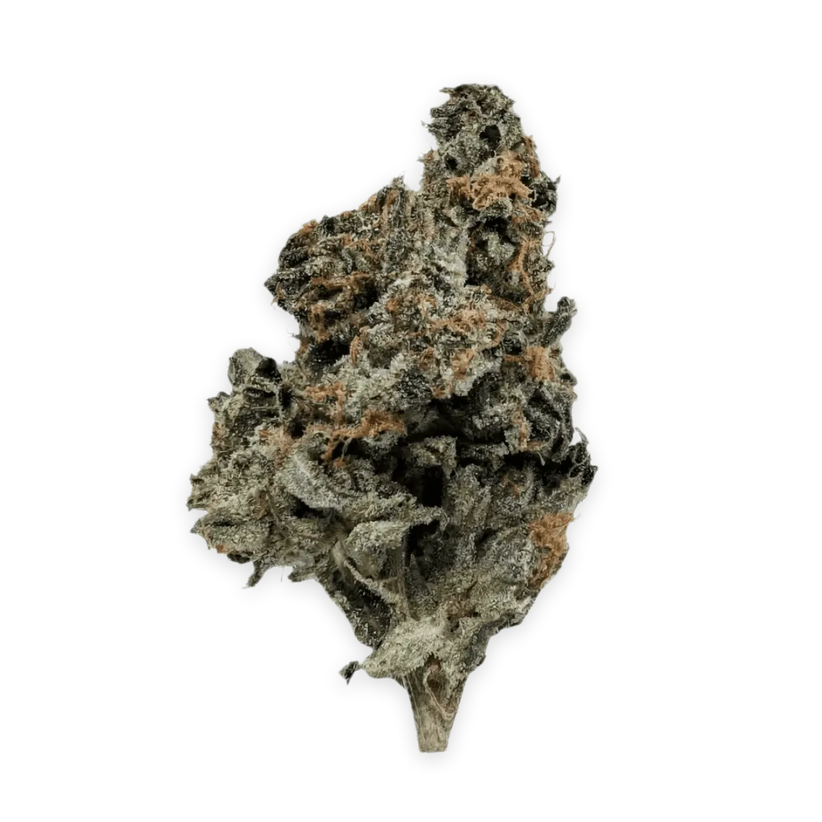 Abby Leaf 24/1 FFC Frosted Fruit Cake