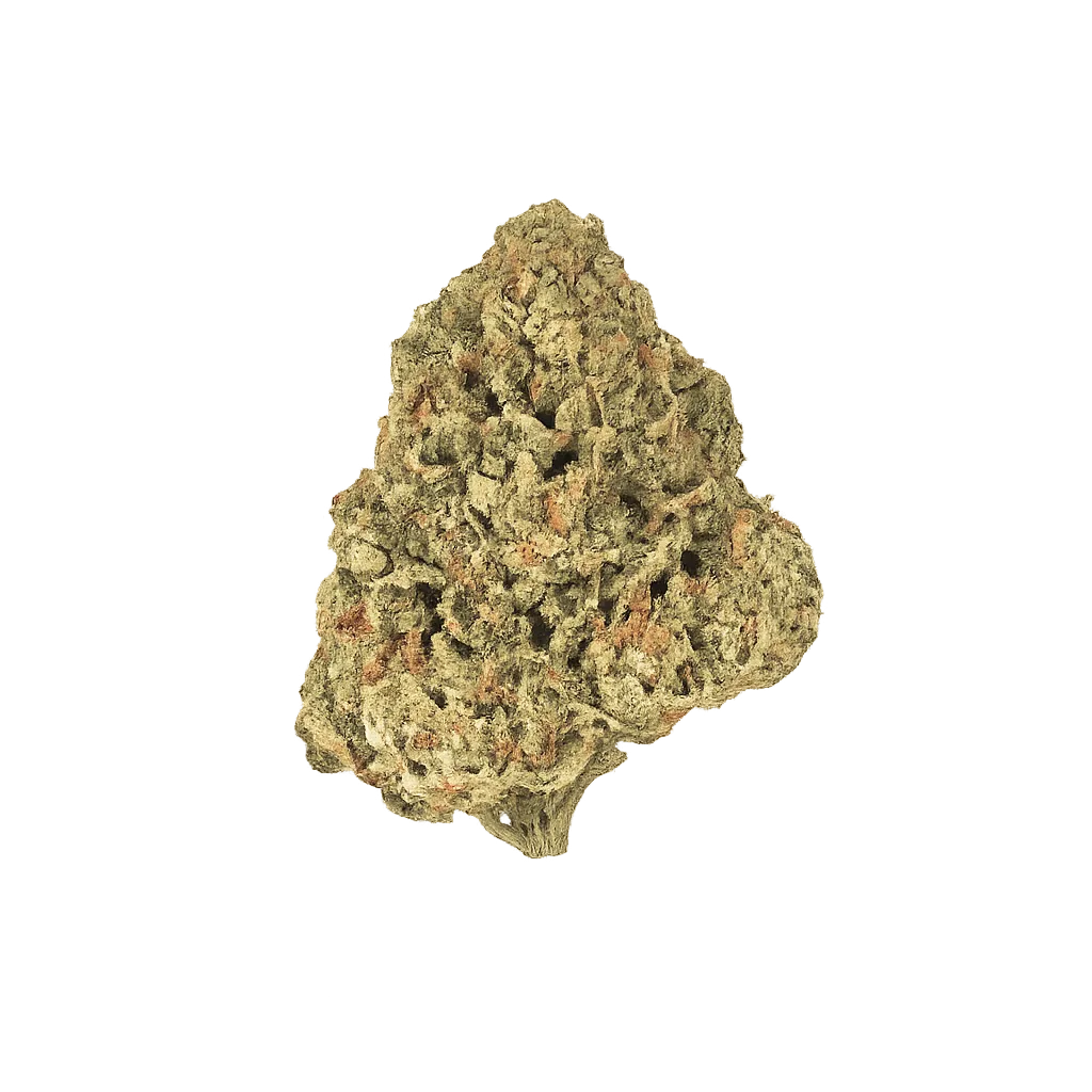 Abby Leaf 27/1 CTL Cactus Licker
