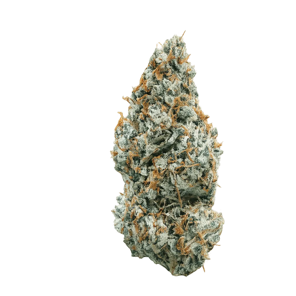 All Nations LT 30/1 Lemon Tartz