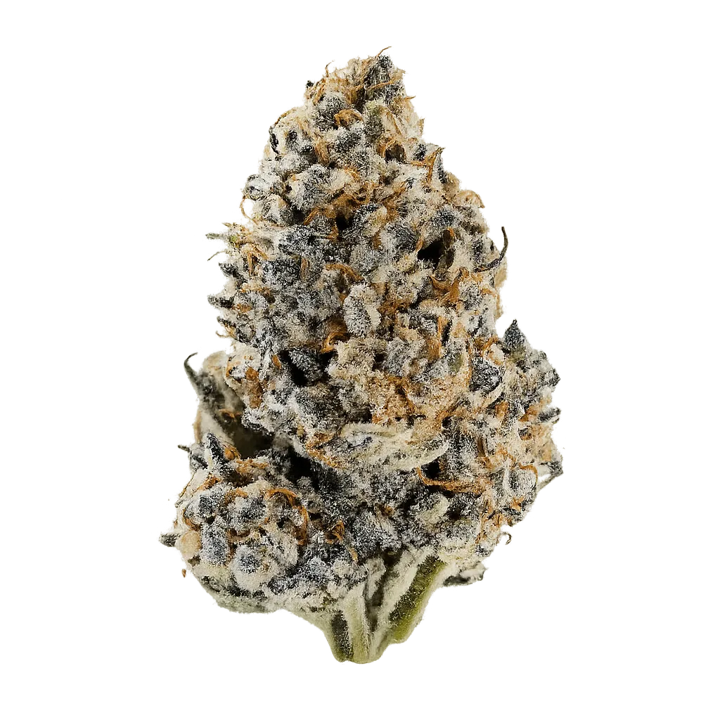 AMC MTG 20/1 Blueberry Lemon Cherry Gelato