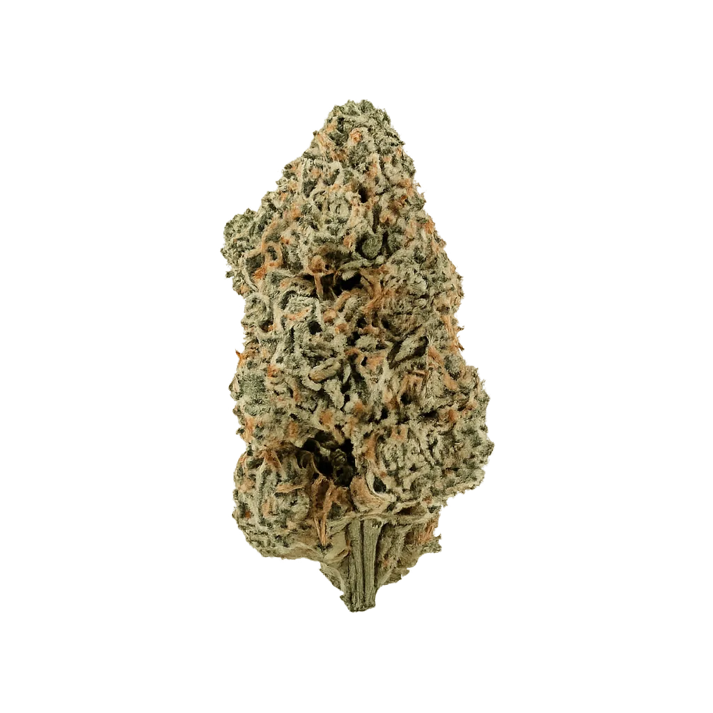 AMP KHI PUP THC25 Purple Planet