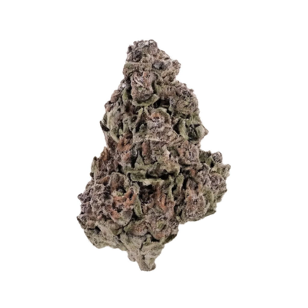 APEX CHY CA 26/1 Choc Monkey