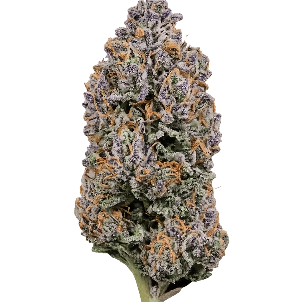 APEX DNC CA 35/1 Durban Nectar