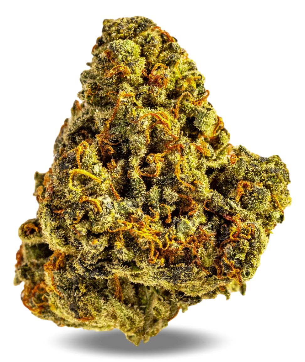 AphriaRX THC25 AMH Amnesia Haze