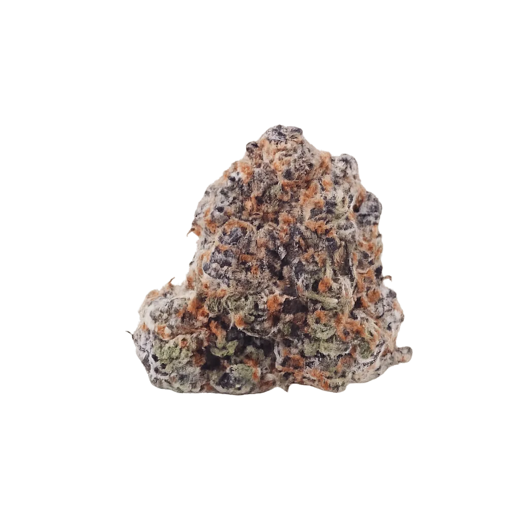 Apollo 25/1 PSI Black Rainbow Sherbert