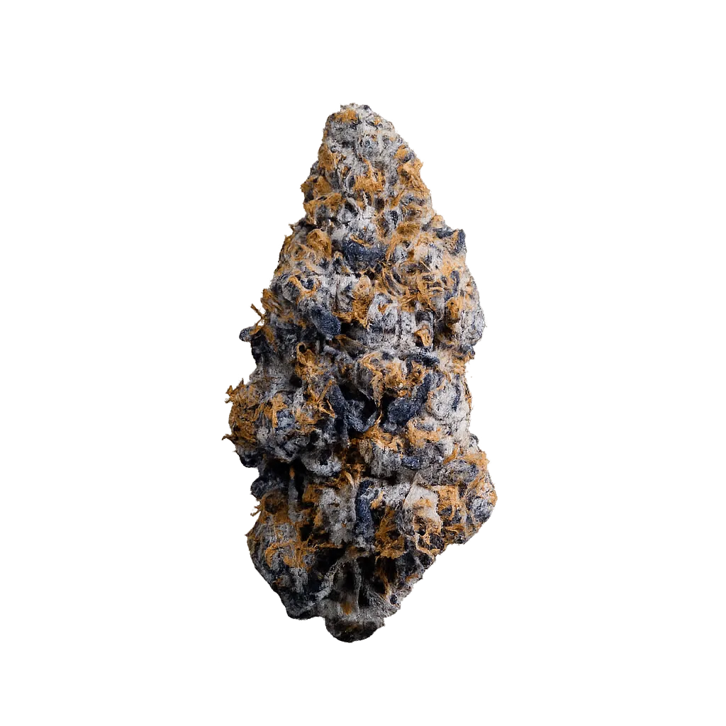 avaay SIGNATURE 31/1 BA Black Amber