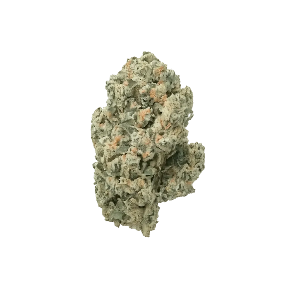 Balancial 24/1 PT S1 JH Jack Herer