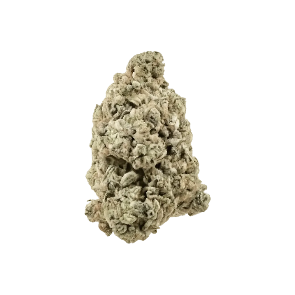 Bathera 27/1 CA E-85