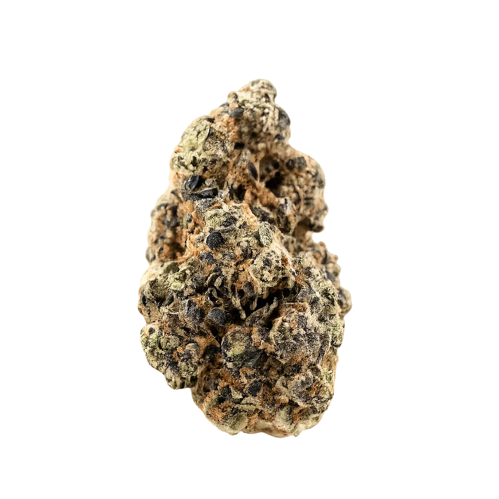 Bathera 29/1 CA TK Triangle Kush