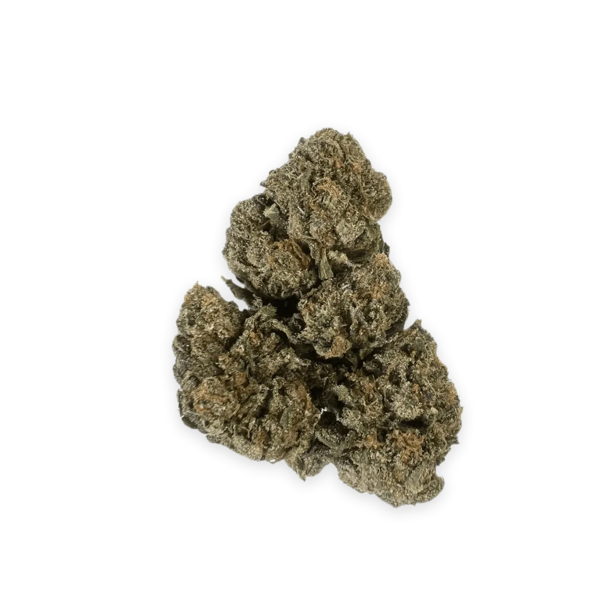Bathera 30/1 CA LR Lime Runtz