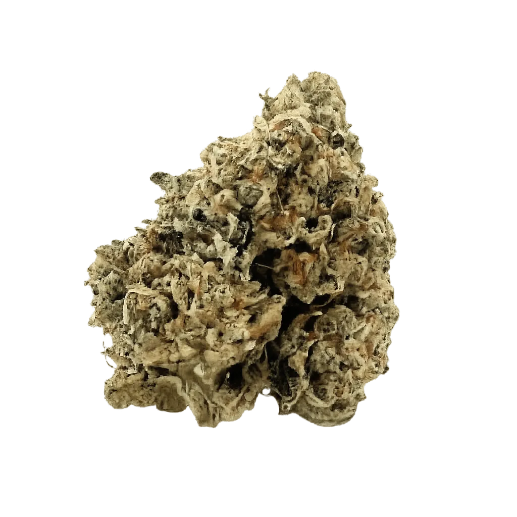 Bathera 33/1 CA CJ Cap Junky