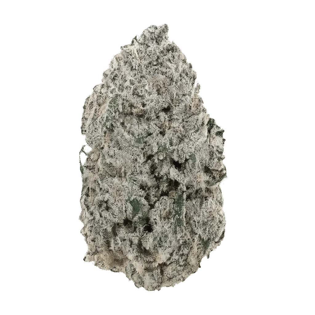 Beacon LC T30 Lime Crumble