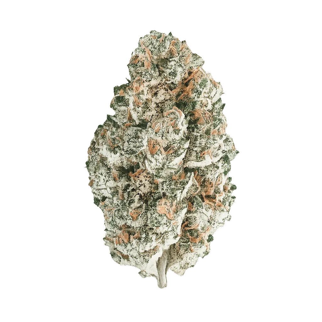 BLAYZ 22/1 KK King's Kush