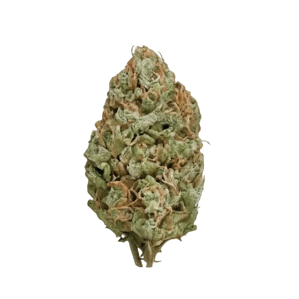 Buuo 28/1 BBK Bubblegum Kush