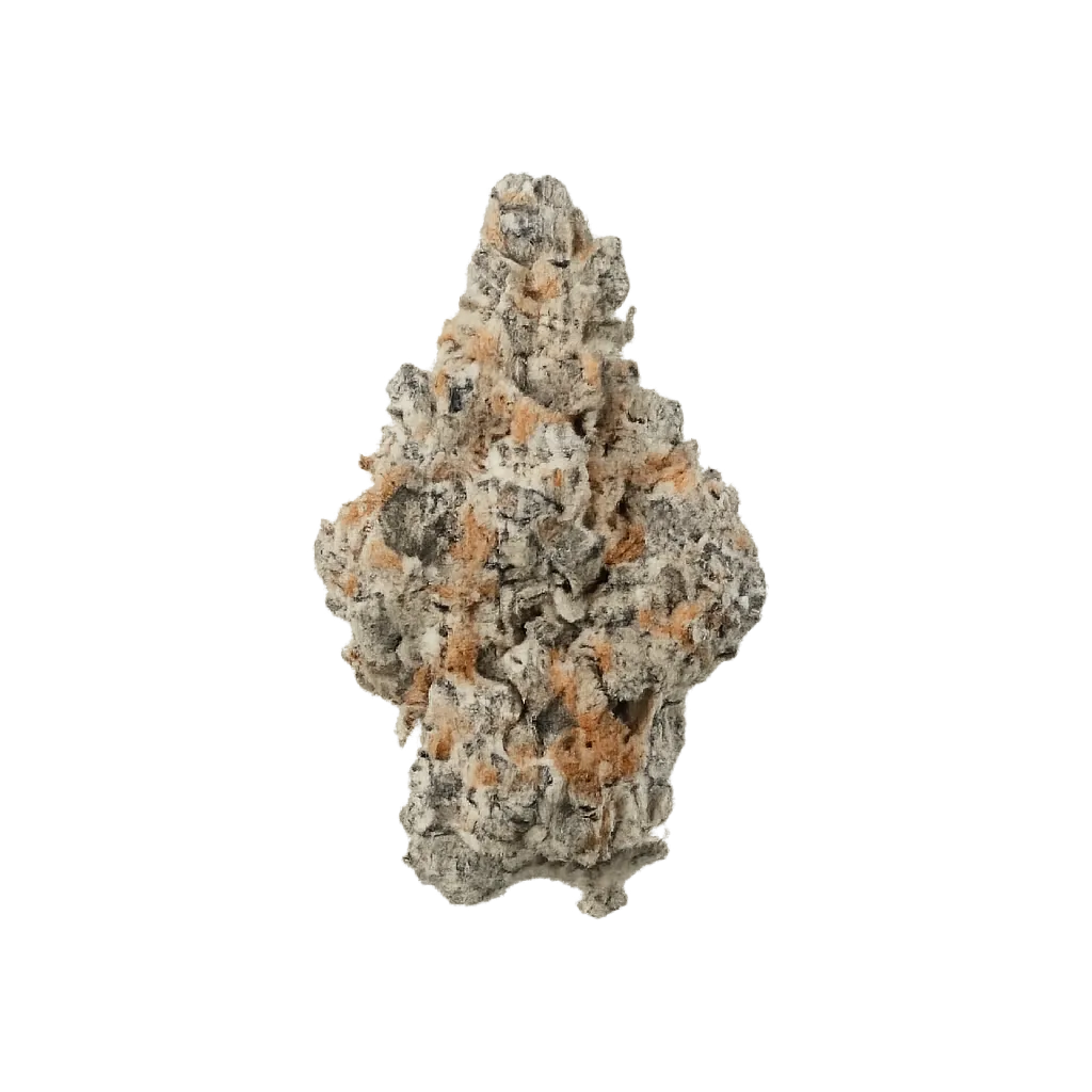 Cannabec Culture 27/1 FTP Fruity Pebbles