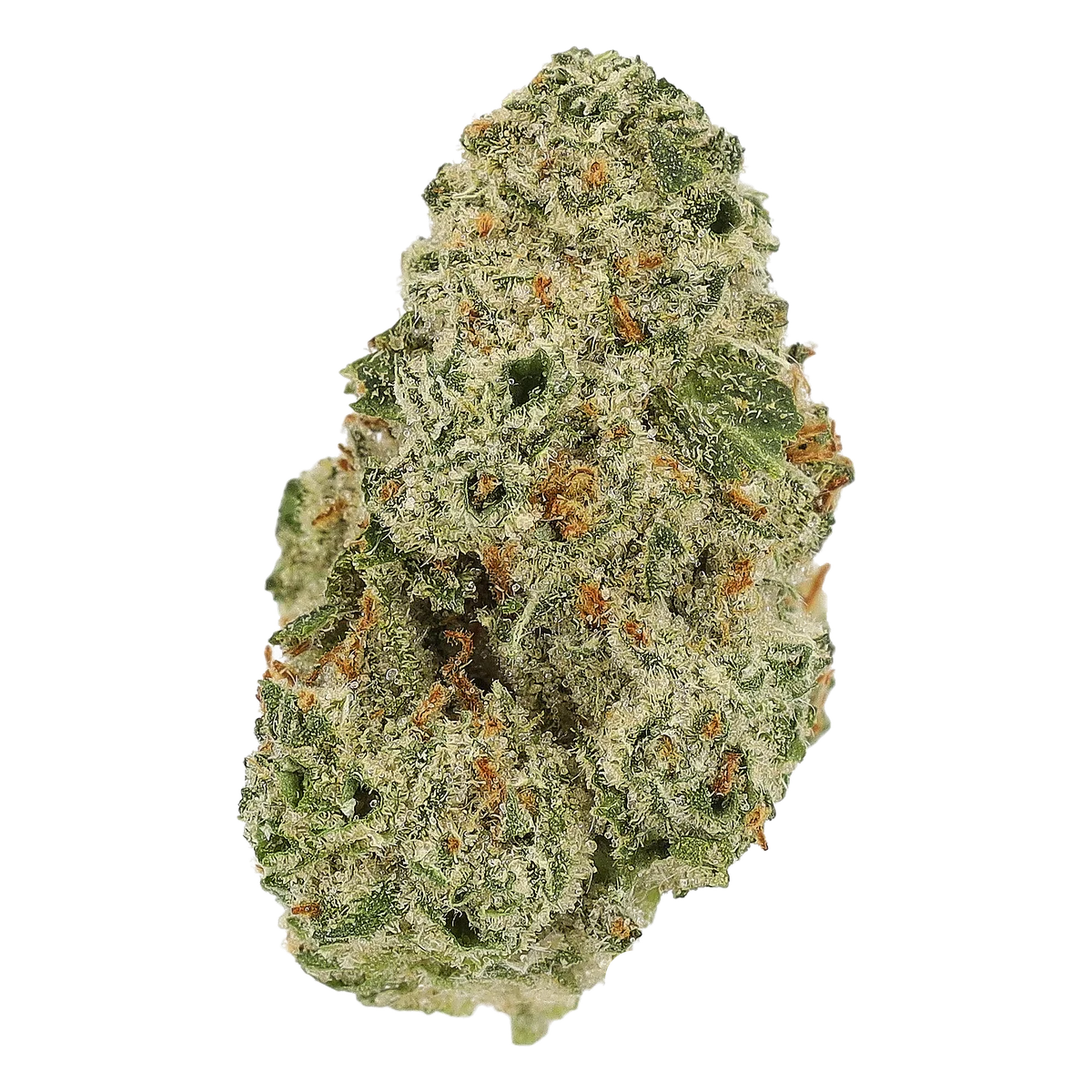 Cannamedical CM 32/1 EBK 8 Ball Kush