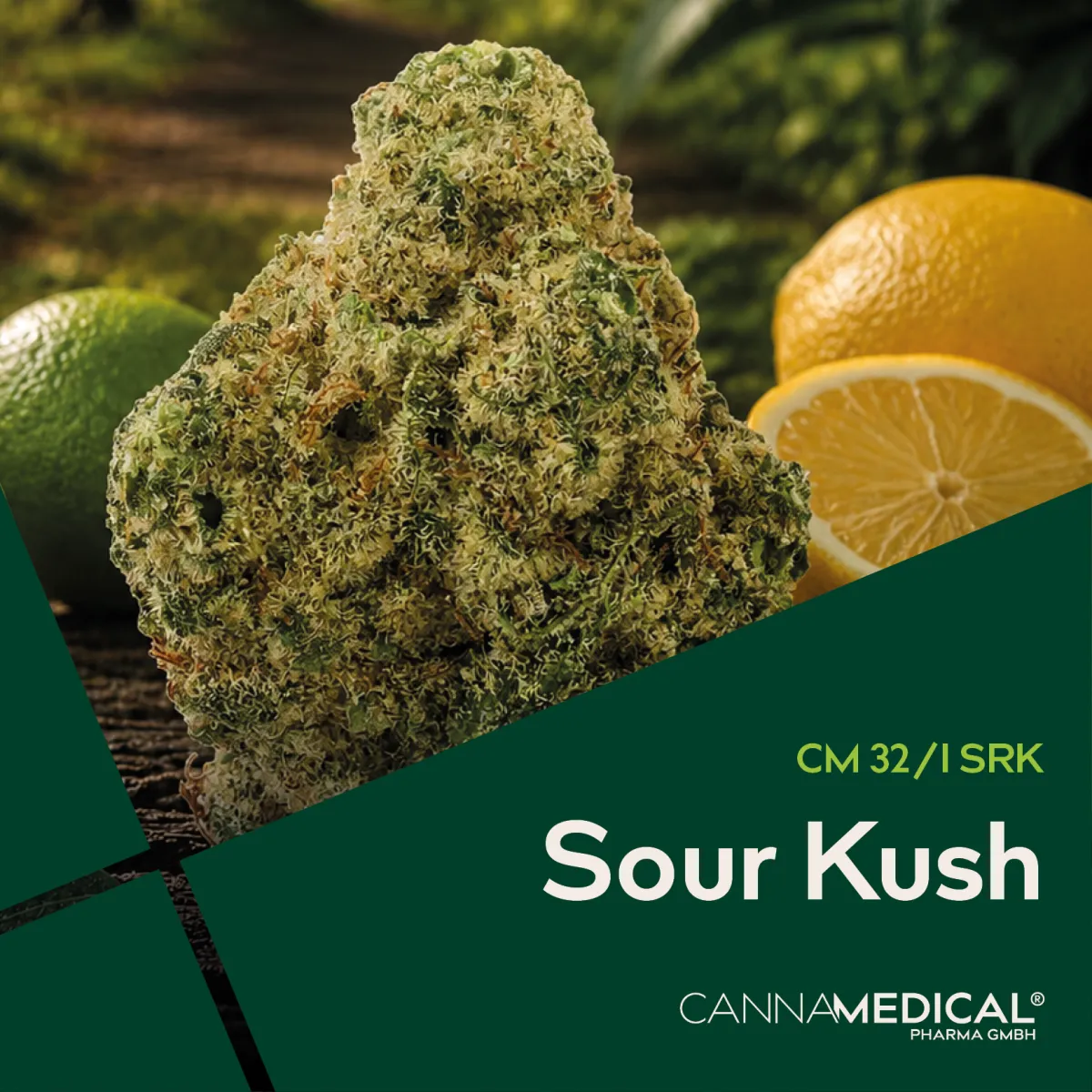 Cannamedical CM 32/1 SRK Sour Kush