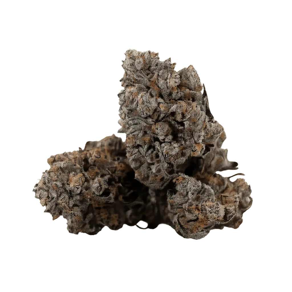 Cannamedical Indica Classic ZAF Grape Galena