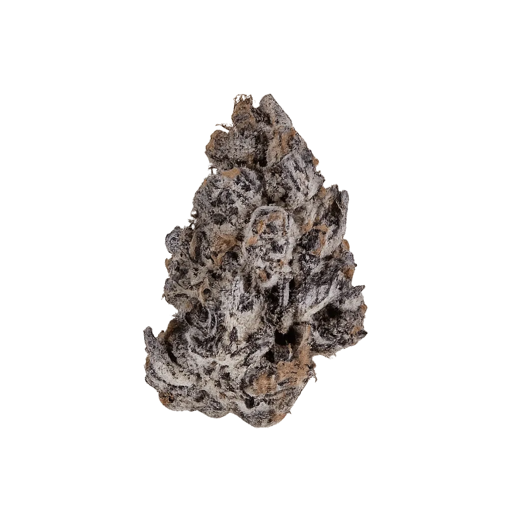 CANVAS SBF THC 27 Super Boof smalls