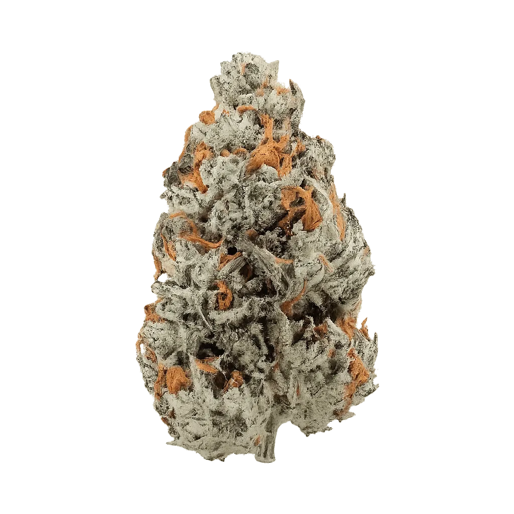 Care Cannabisflower CAL THC 20 Candyland