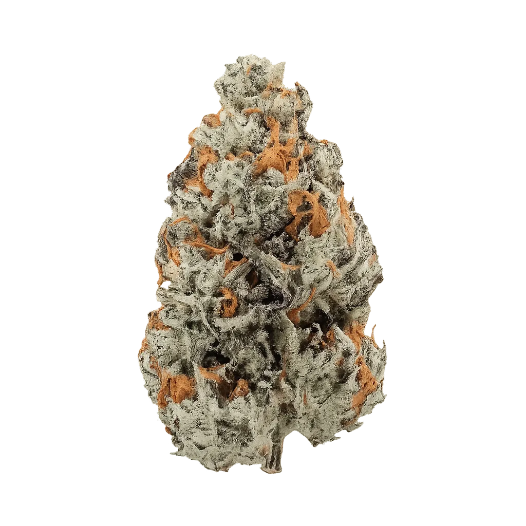Care Cannabisflower CAL THC 23 Candyland
