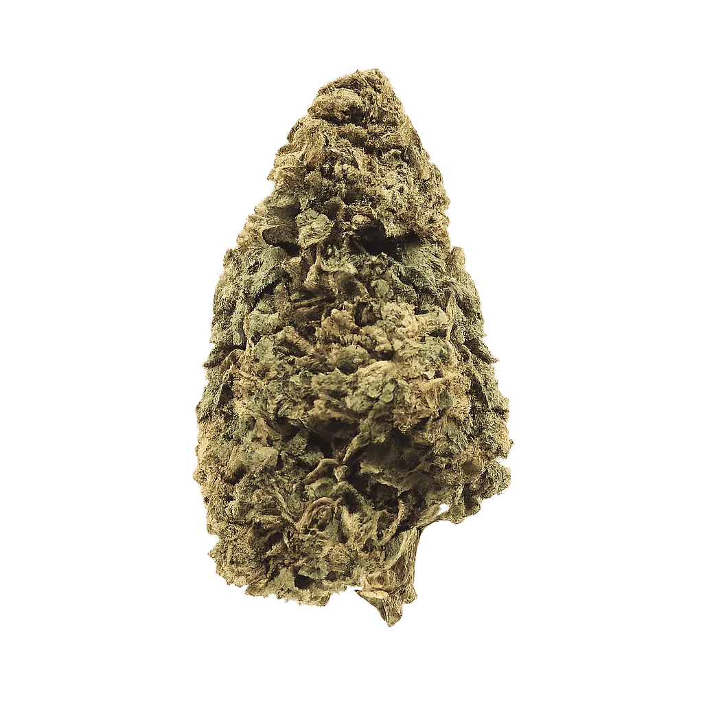 Care Cannabisflower GEL THC 20 Gelatti