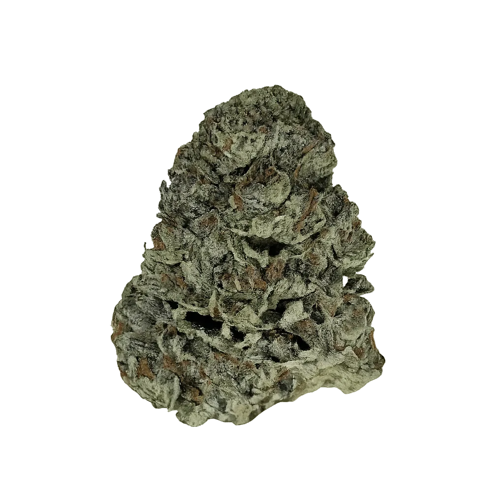 Ceres VT 29/1 Vanilla Train