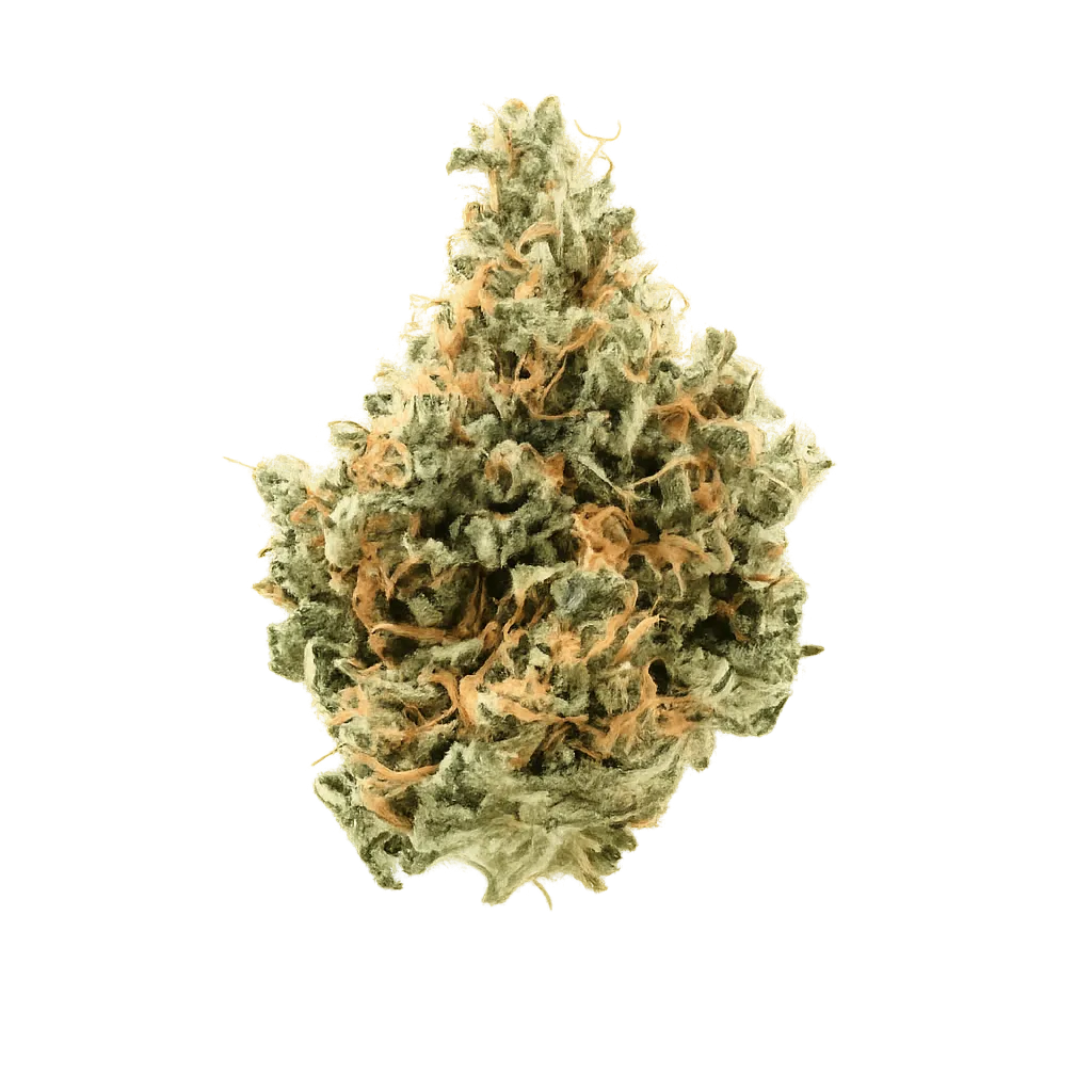 CherryCo THC 25 Sativa Arctic Gorilla