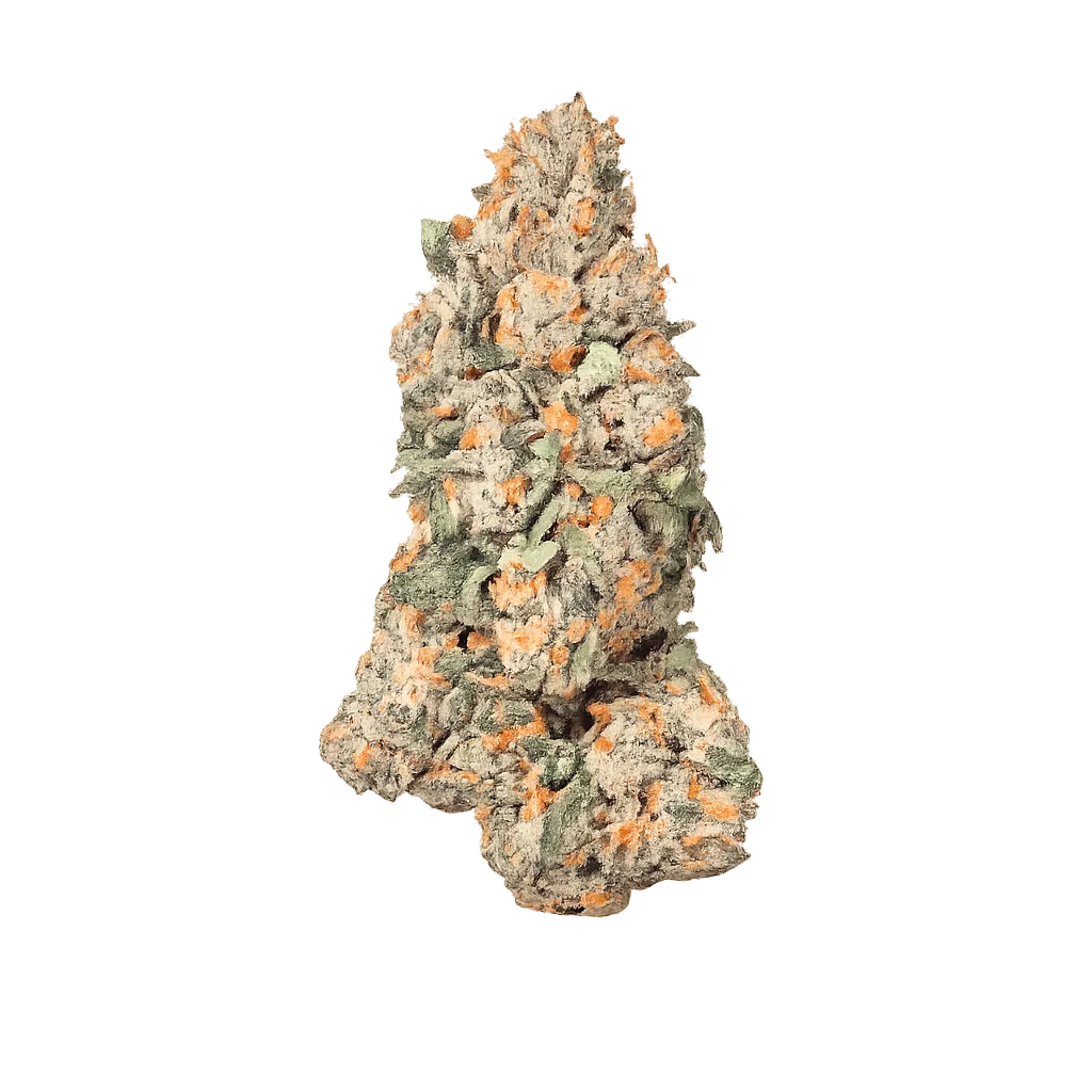 CRQSH GKY 25/1 Gas Monkey
