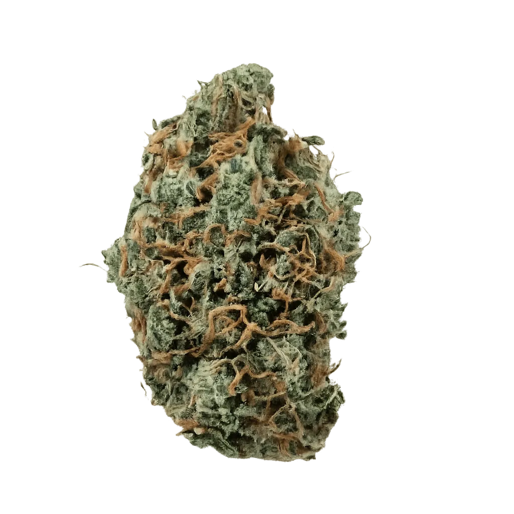 Dank Craft 26 FQ CAN Frosty Queen