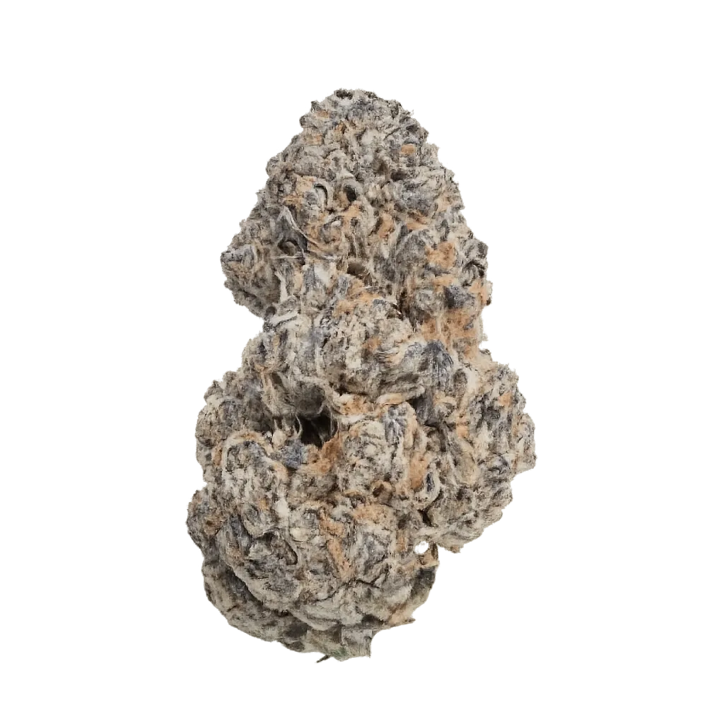 Dank Craft 30 RM CAN Royal Mints