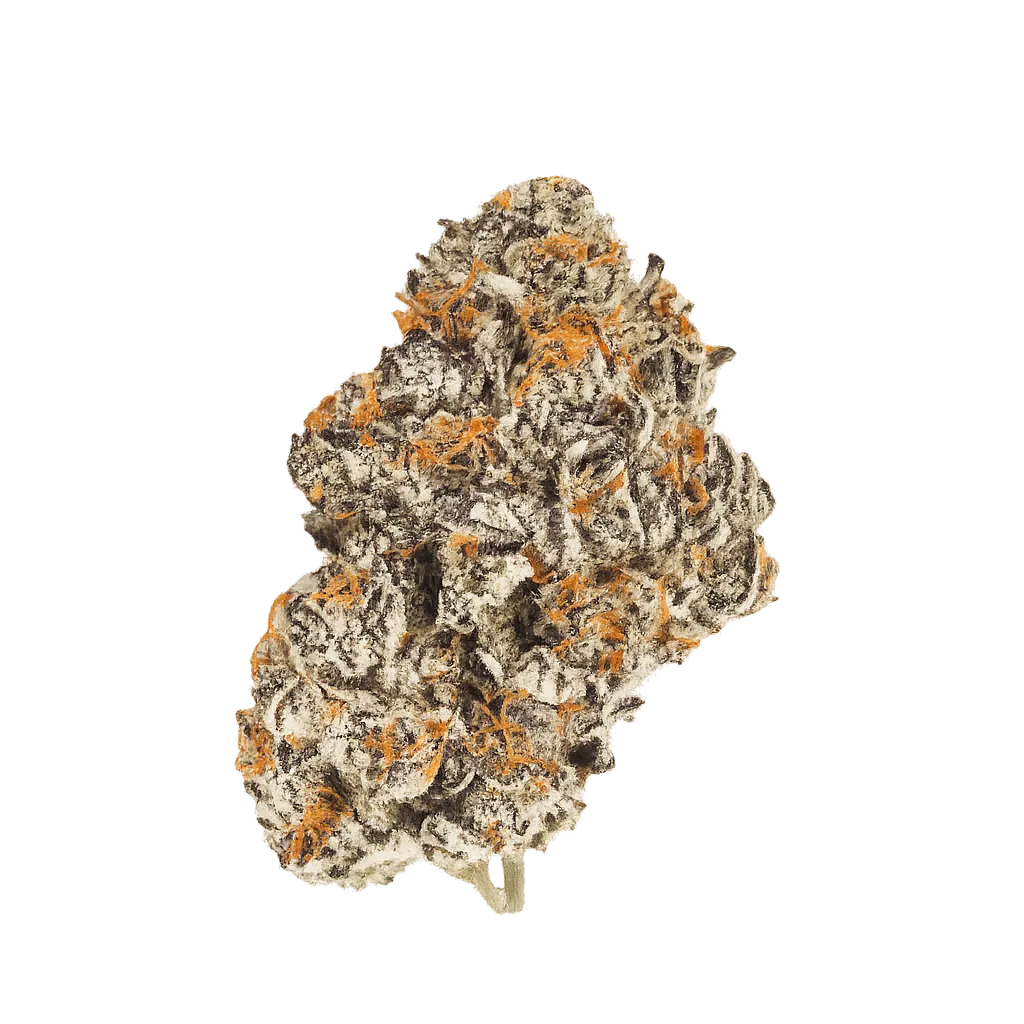 Demecan Core CRC 30:01 Cream Cake