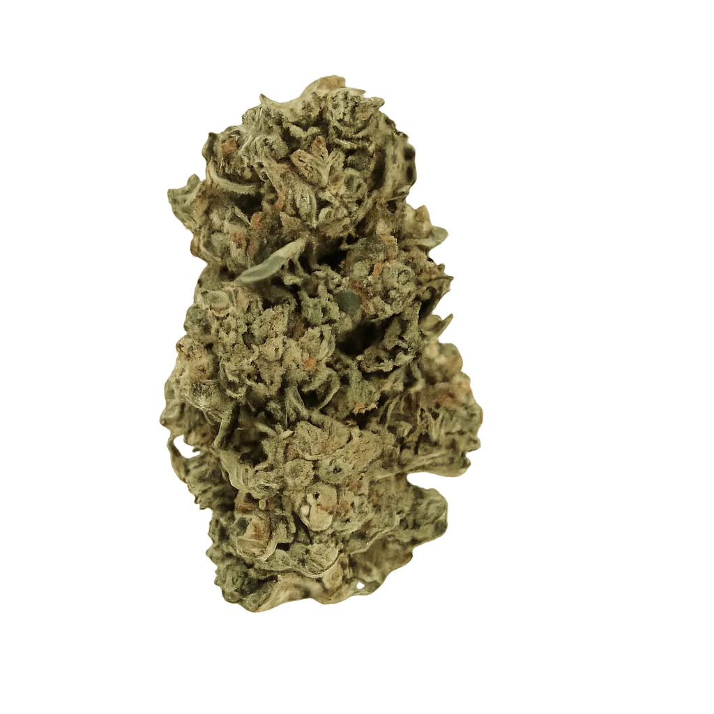 enua 25/1 CBC CA Citron Biker Cookies