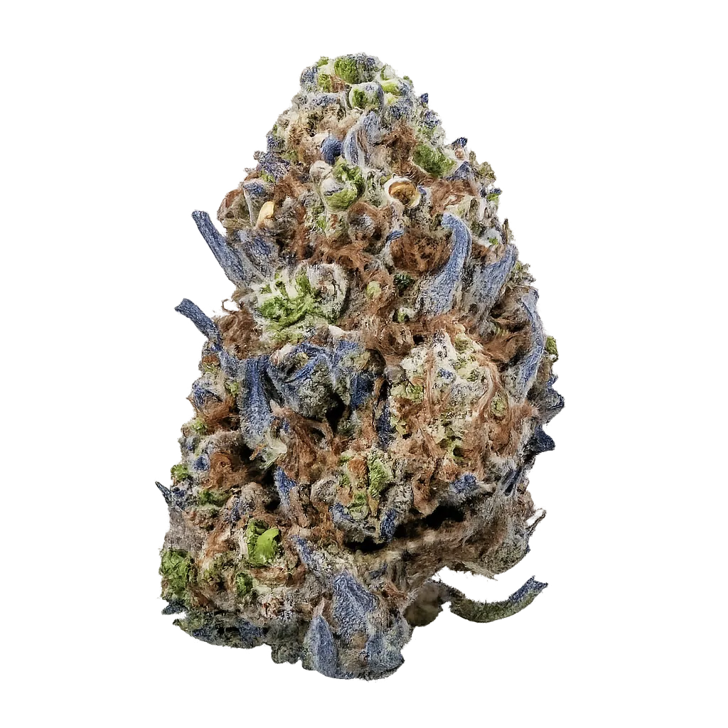 enua 25/1 JFK CA Jet Fuel Kush