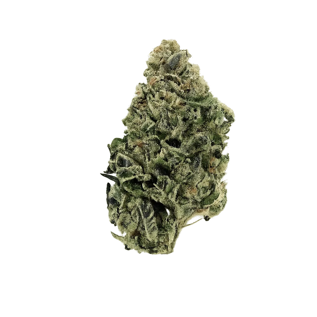 FAAFO Cannabis 27/1 GPO Gastro Pop