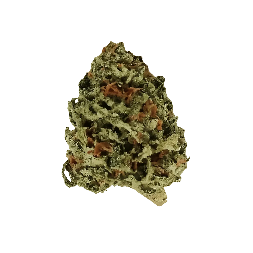 Firegold 33/1 ANM Animal Mintz