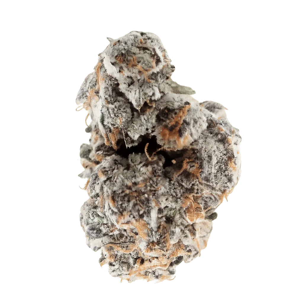 Galaxia Organic Living Soil GB 19/1 Garlic Budder