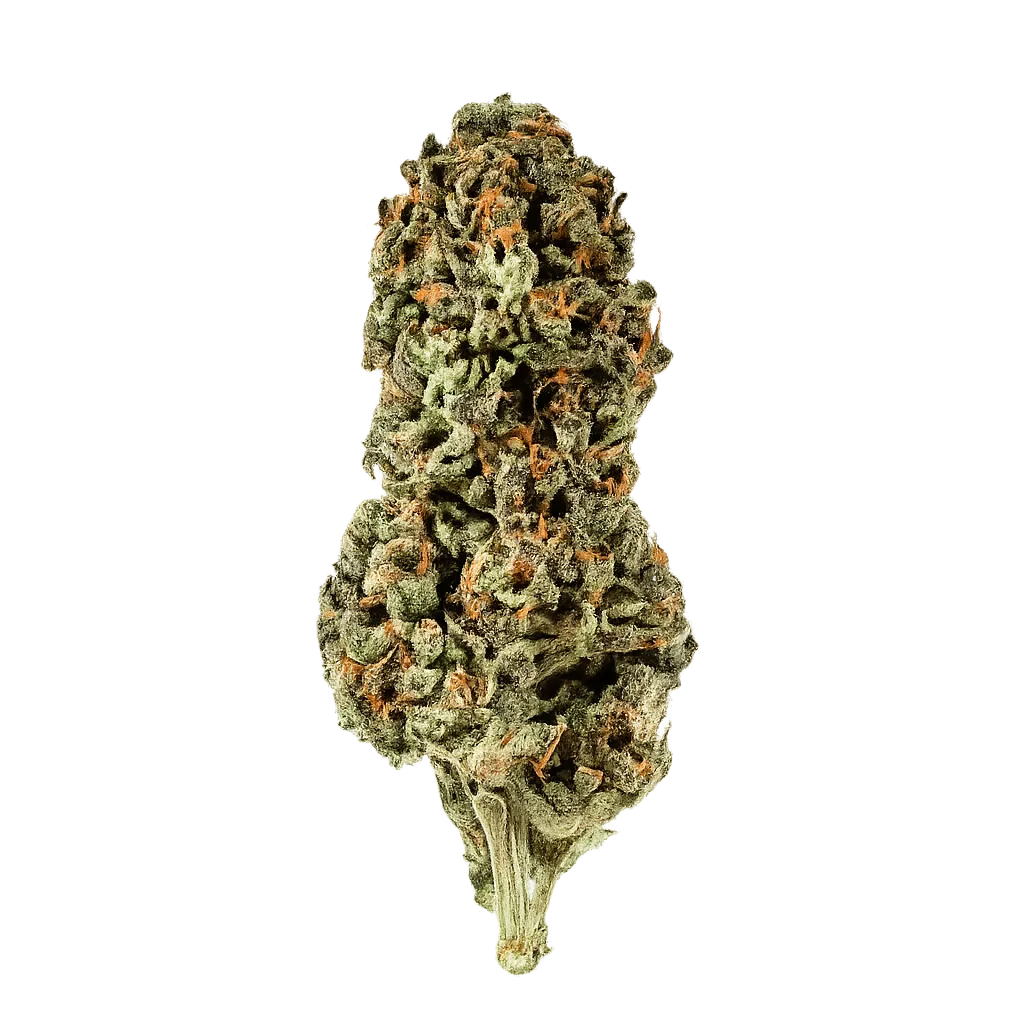 Galaxia Organic Living Soil WRM 15/1 White Runtz x Mintz