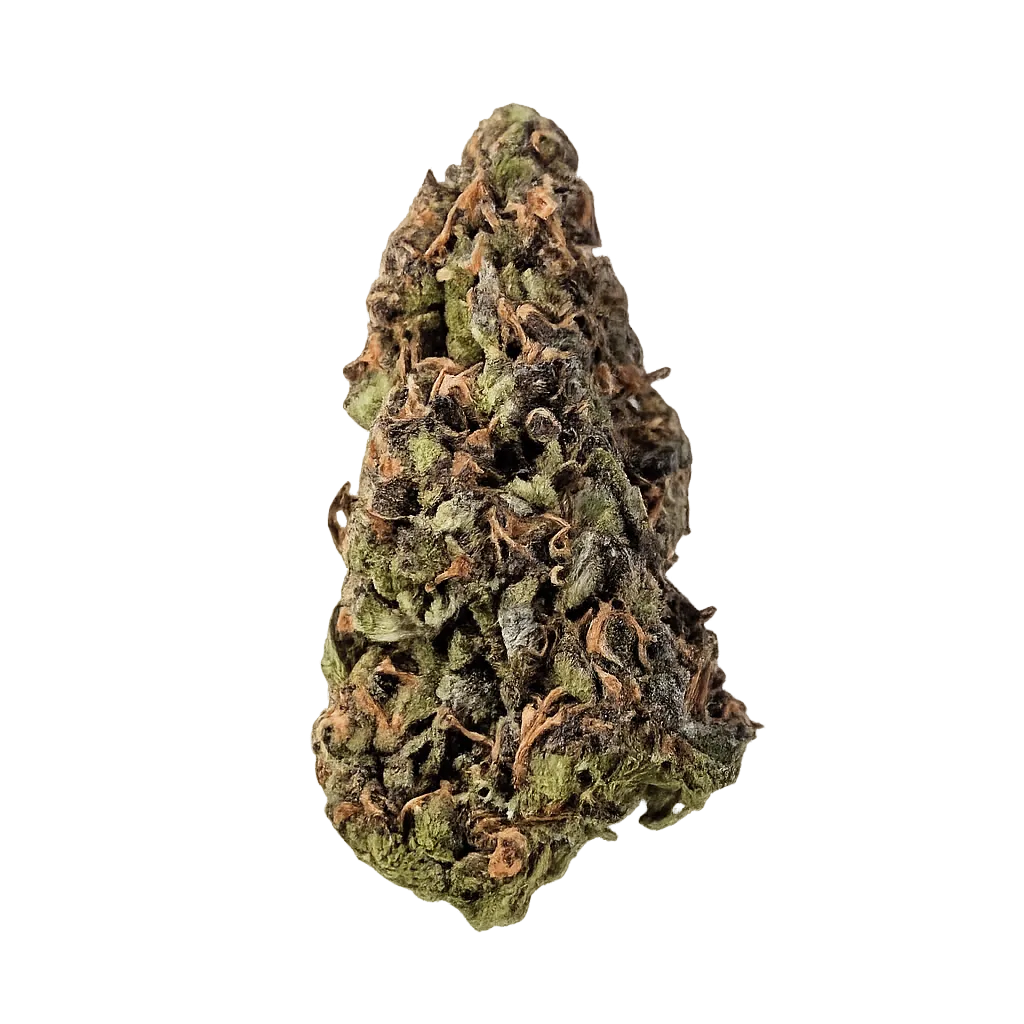 Gripon420 24/1 FLF Fruitloops & Fuel