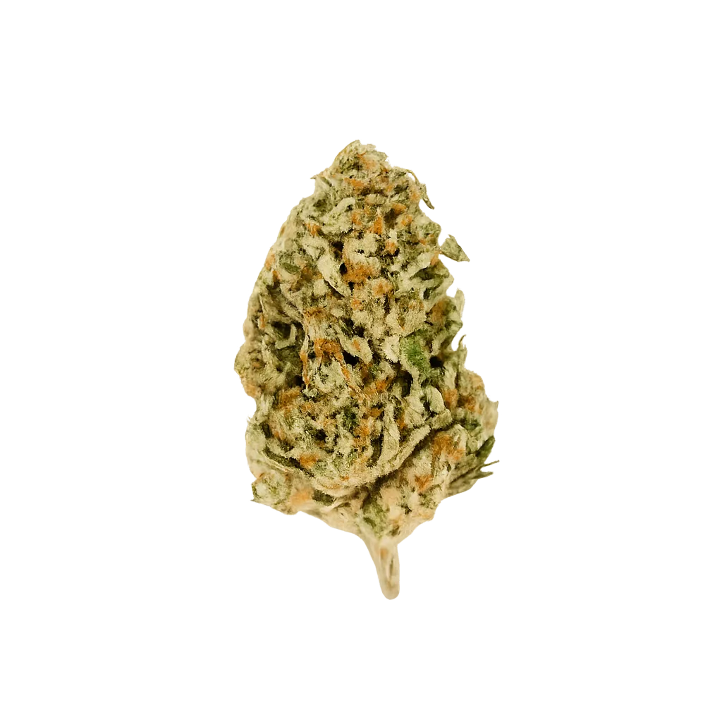 HiDealz 18/1 MS MCO Mimosa Cookies smalls
