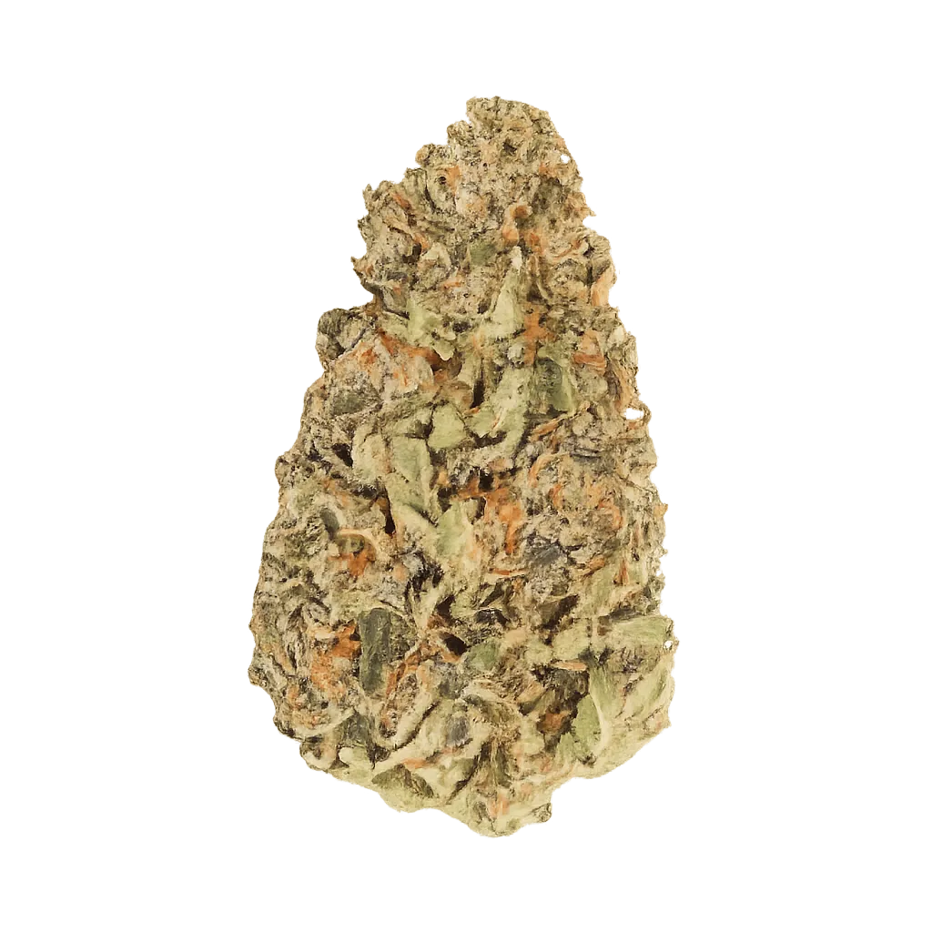 HiDealz 24/1 MS LIB Liberty Haze smalls