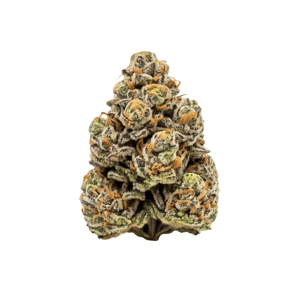 HiDealz 24/1 MS PIK Pink Kush smalls