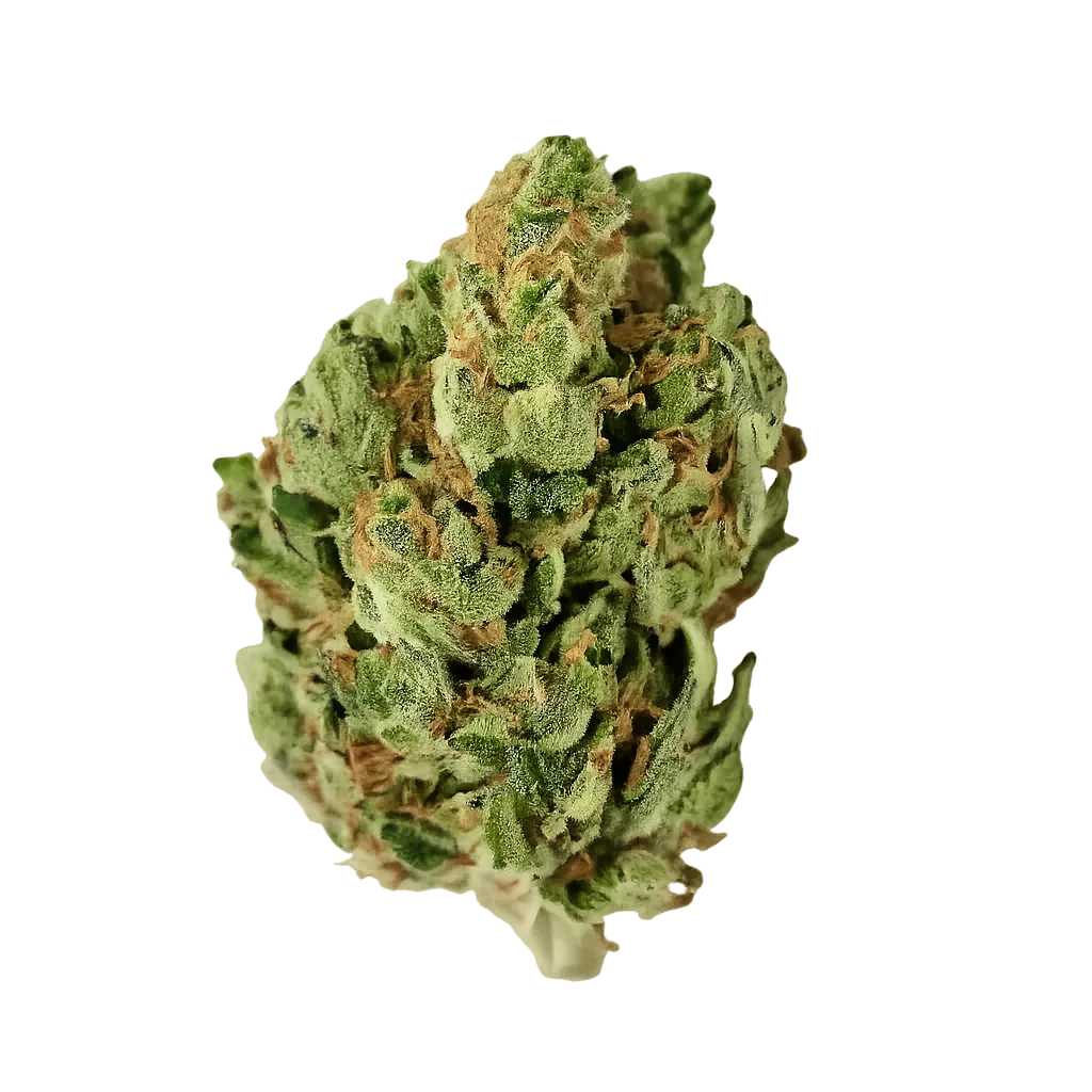 High Greens SG 28/1 Sunset Gas