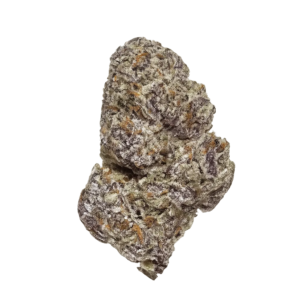 Huala 25/1 CA OSB Orange Sherbet