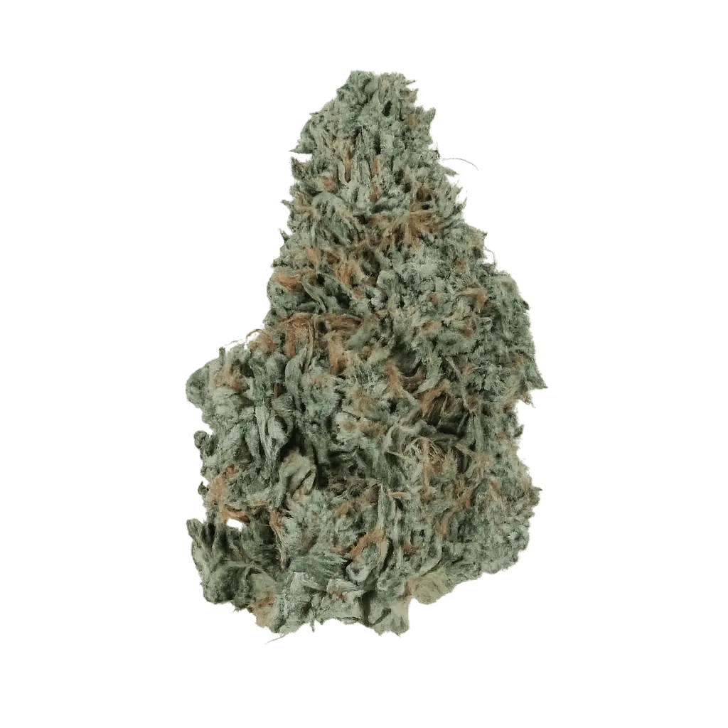 Huala 33/1 CA JFL Jack Flash