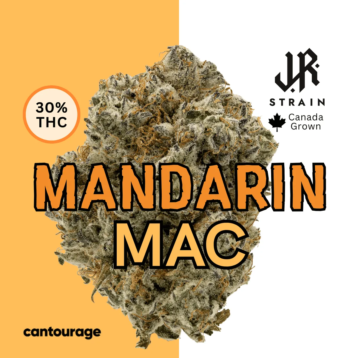 J.R. Strain MN 31/1 Mandarin Mac