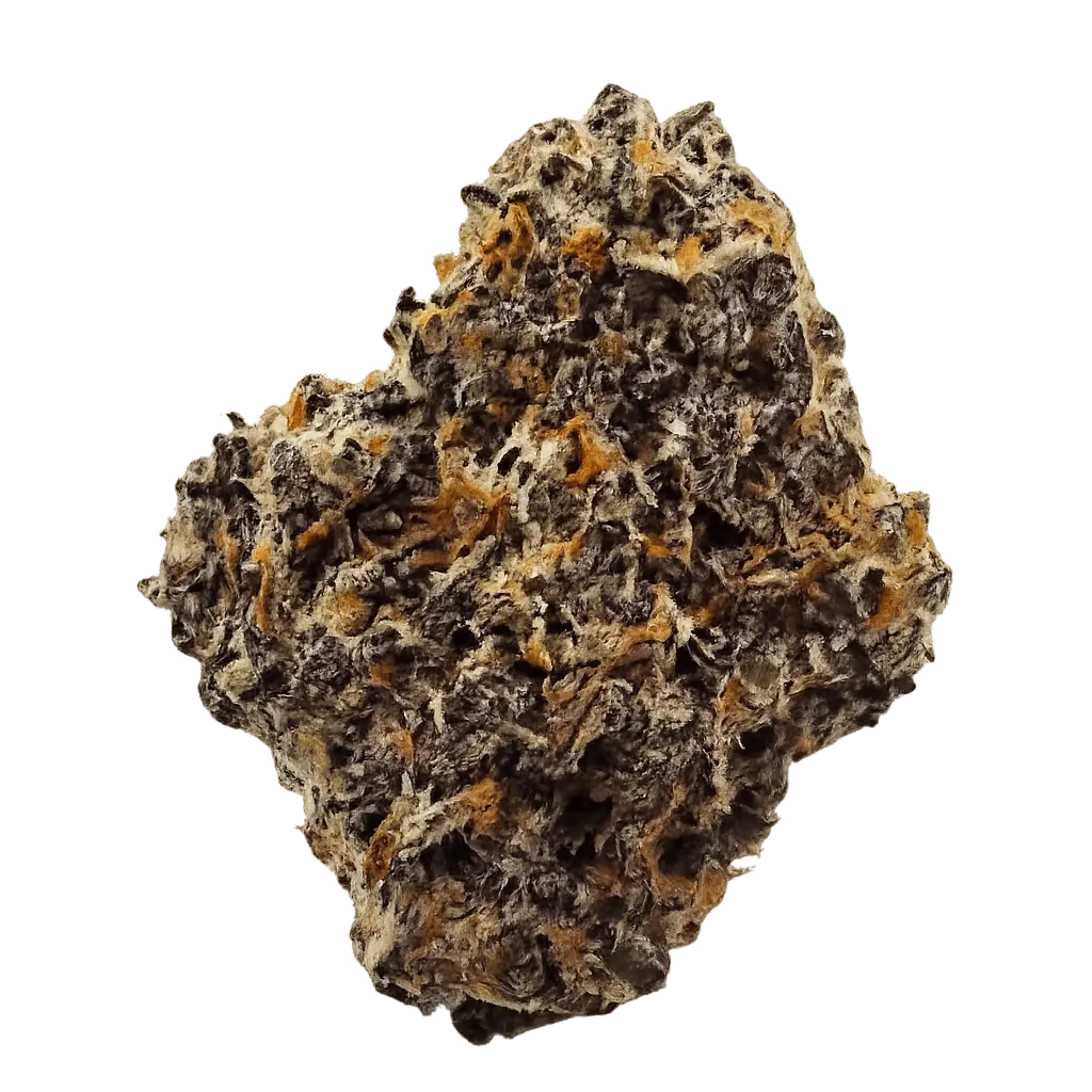 J.R. Strain PM 30/1 Purple Marker