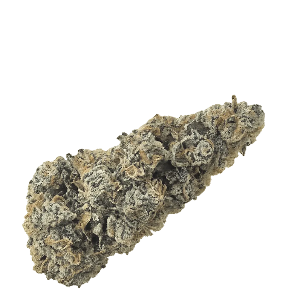 KHIRON PP 29/1 Peggys Puff